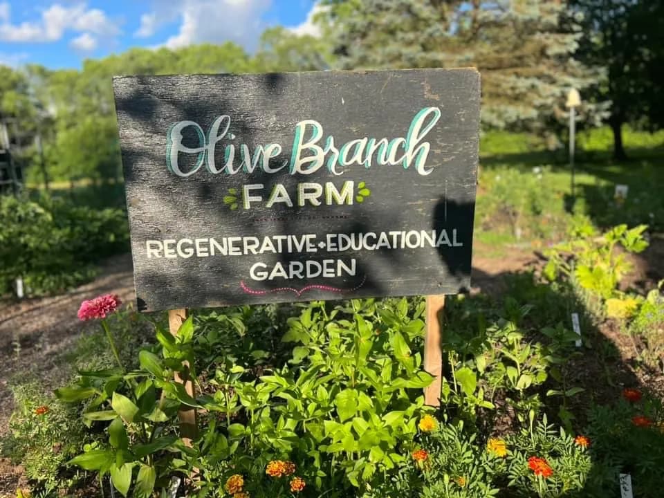 Olive Branch Farm sign